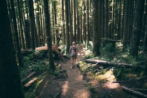 Read more about the article Hiking in the woods