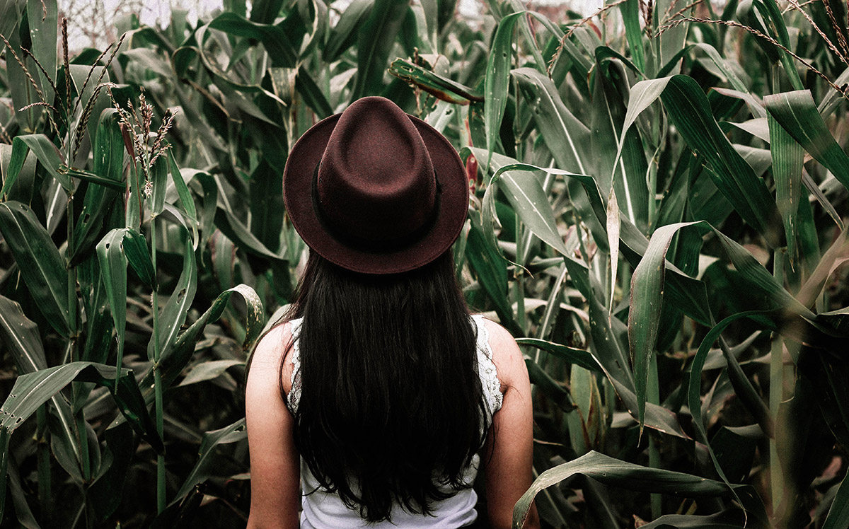 Read more about the article Exploring My Surroundings